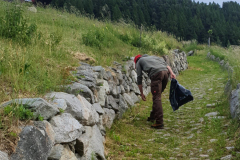 lavur-cumina-001