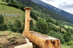 lavur-cumina-010