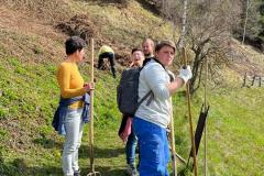lavur-cumina-23-013