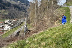 lavur-cumina-23-061